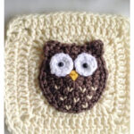 Woodland Owl Square Free Crochet Pattern