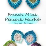 French Mini Peacock Feather Crochet Free Pattern