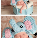 Newborn Elephant hat Crochet Free Pattern