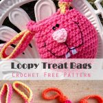 Kid’s Loopy Treat Bags Crochet Free Pattern
