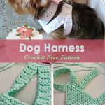 A Crocheted Dog Harness for Your Tiny Dog ~ FREE Pattern