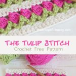 The Tulip Stitch Crochet Free Pattern