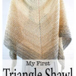 First Triangle Shawl Free Crochet Pattern and Video Tutorial