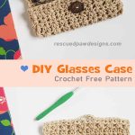 DIY Glasses Case Crochet Free Pattern