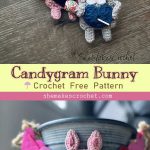 Candygram Bunny toy crochet Free Pattern