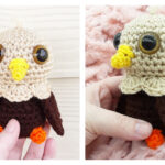 Baby Eagle Amigurumi Crochet Pattern