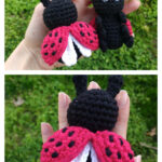 Ladybug Ladybird Amigurumi Free Crochet Pattern
