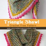 Easy Crochet Triangle Shawl Free Pattern