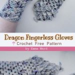 Crochet Basic Granny Dragon Fingerless Gloves Free Pattern