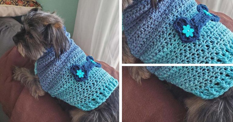 Dog Sweater Crochet Free Pattern
