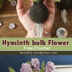 Hyacinth Bulb Flower Crochet Free Pattern