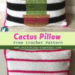 Crochet Cactus Pillow Free Pattern