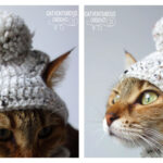 Narby Pom Pom Cat Hat Crochet Pattern and Video Tutorial