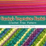 Unley Chill Beanie Bag Free Crochet  Pattern