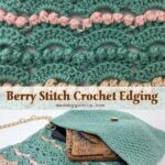 Berry Stitch Crochet Edging Free Pattern