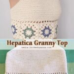 Hepatica Granny Top Crochet Free Pattern