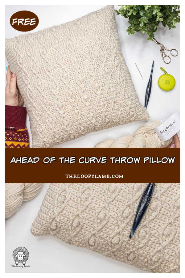 Ahead of the Curve Throw Pillow Free Crochet Pattern
