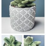 Desktop Succulent Free Crochet Pattern