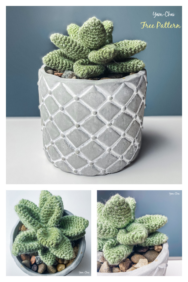 Desktop Succulent Free Crochet Pattern