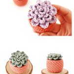 Succulent Planter Free Crochet Pattern