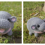 Baby Hippo Moo Deng Free Crochet Pattern